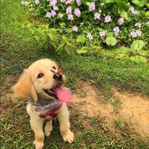 Meet your Posher, Stephanie